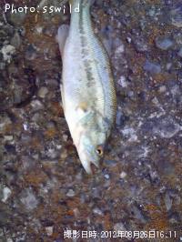 �֥�å��Х�