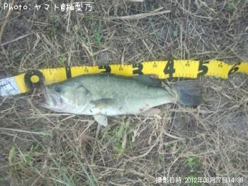 �֥�å��Х�