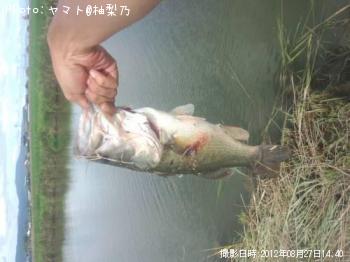 �֥�å��Х�