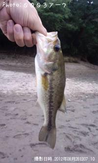 ¥Ö¥é¥Ã¥¯¥Ð¥¹