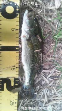 �֥�å��Х�