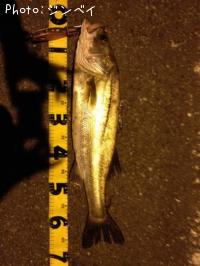 �����Х�