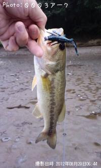 �֥�å��Х�