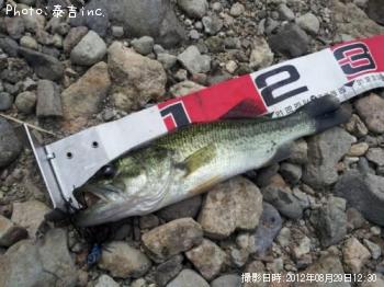 �֥�å��Х�