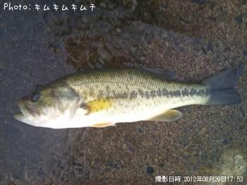 �֥�å��Х�