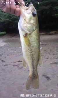 ¥Ö¥é¥Ã¥¯¥Ð¥¹