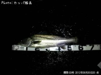 �����Х�