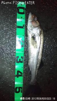 �����Х�