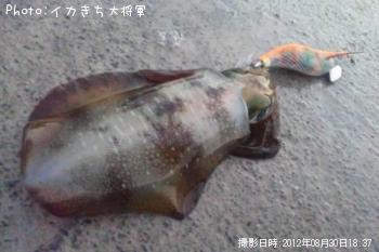 �����ꥤ��