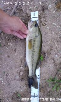 ¥Ö¥é¥Ã¥¯¥Ð¥¹