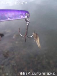 �ϥ�������