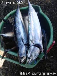 ���������ĥ�