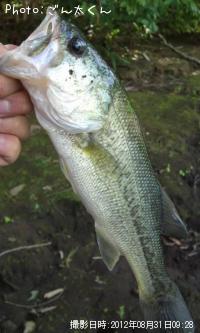 �֥�å��Х�