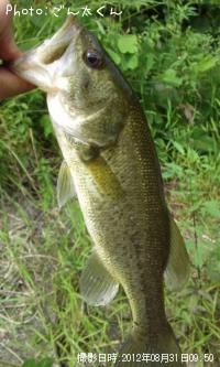 �֥�å��Х�