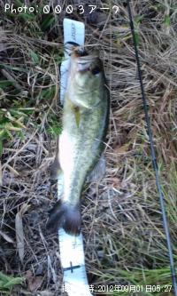 ¥Ö¥é¥Ã¥¯¥Ð¥¹