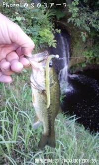 �֥�å��Х�