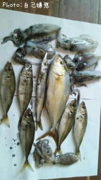 ���祴�����ޥ��������������ꥤ��������