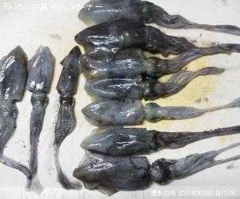 ¥¢¥ª¥ê¥¤¥«