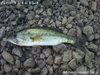 �֥�å��Х�