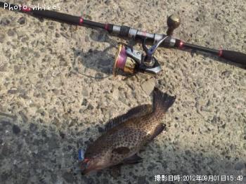 �������ϥ�