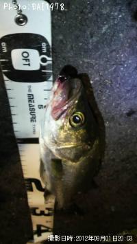 �����Х�