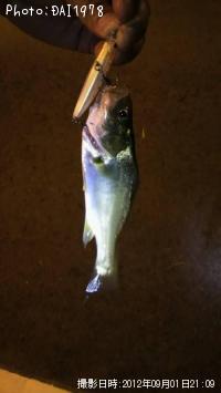 �����Х�