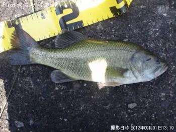 ¥Ö¥é¥Ã¥¯¥Ð¥¹