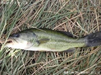 ¥Ö¥é¥Ã¥¯¥Ð¥¹