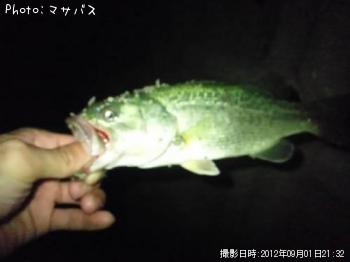 �֥�å��Х�