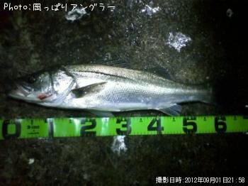 �����Х�