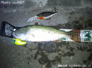 �֥�å��Х�