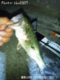 �֥�å��Х�