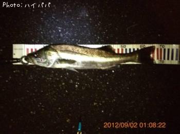 �����Х�