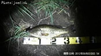 ¥Ö¥é¥Ã¥¯¥Ð¥¹