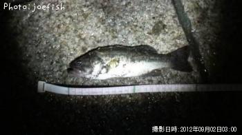 ¥Ö¥é¥Ã¥¯¥Ð¥¹