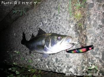 �����Х�