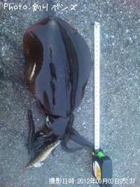 �����ꥤ��