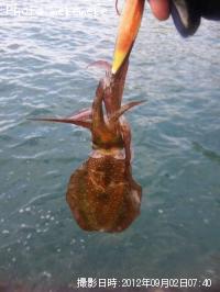 �����ꥤ��