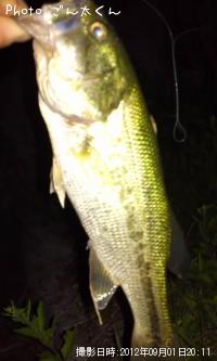 ¥Ö¥é¥Ã¥¯¥Ð¥¹