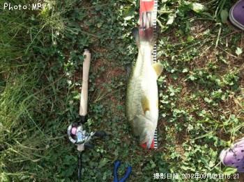 ¥Ö¥é¥Ã¥¯¥Ð¥¹