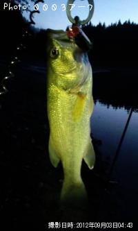 �֥�å��Х�