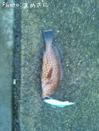 �����ϥ�