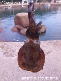 �����ꥤ��