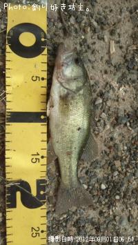 ¥Ö¥é¥Ã¥¯¥Ð¥¹