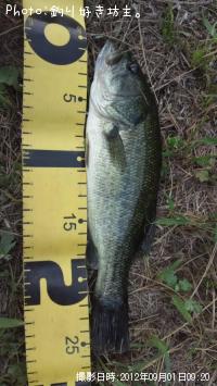 ¥Ö¥é¥Ã¥¯¥Ð¥¹