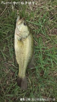 �֥�å��Х�