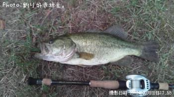 ¥Ö¥é¥Ã¥¯¥Ð¥¹