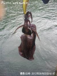 �����ꥤ��