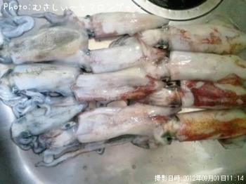 �����ꥤ��