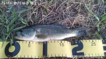 �֥�å��Х�